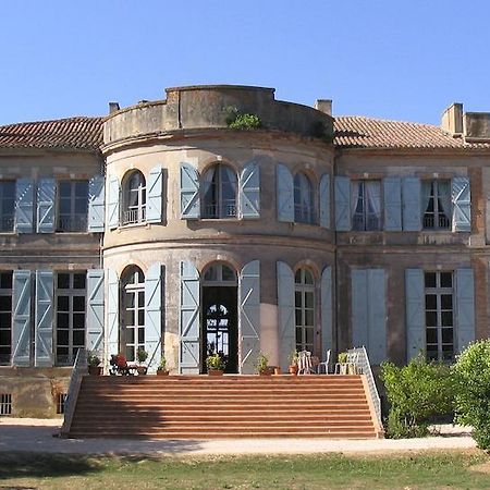 Chateau De Clermont-Saves Bed and Breakfast LʼIsle-Jourdain Exterior foto
