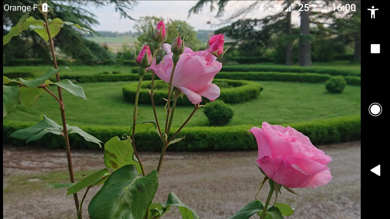 Chateau De Clermont-Saves Bed and Breakfast LʼIsle-Jourdain Exterior foto